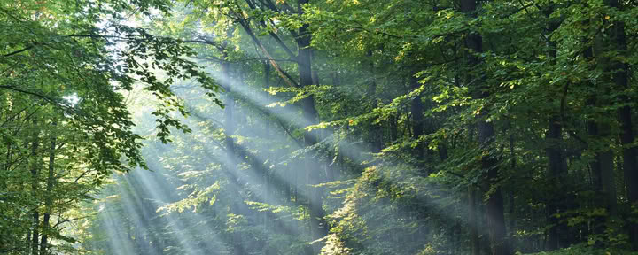 Angel Card Reading & Reiki Healing
