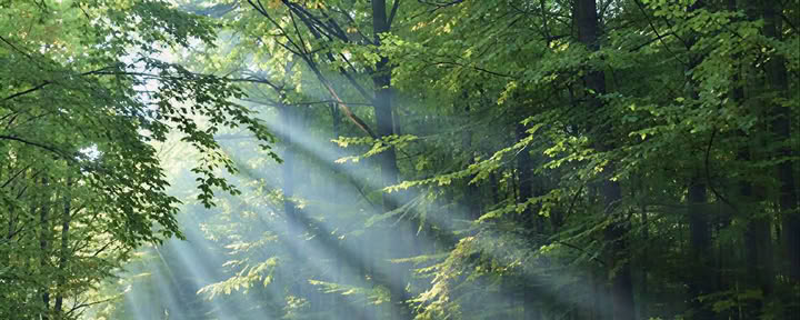 Reiki 2 Practitioners Course