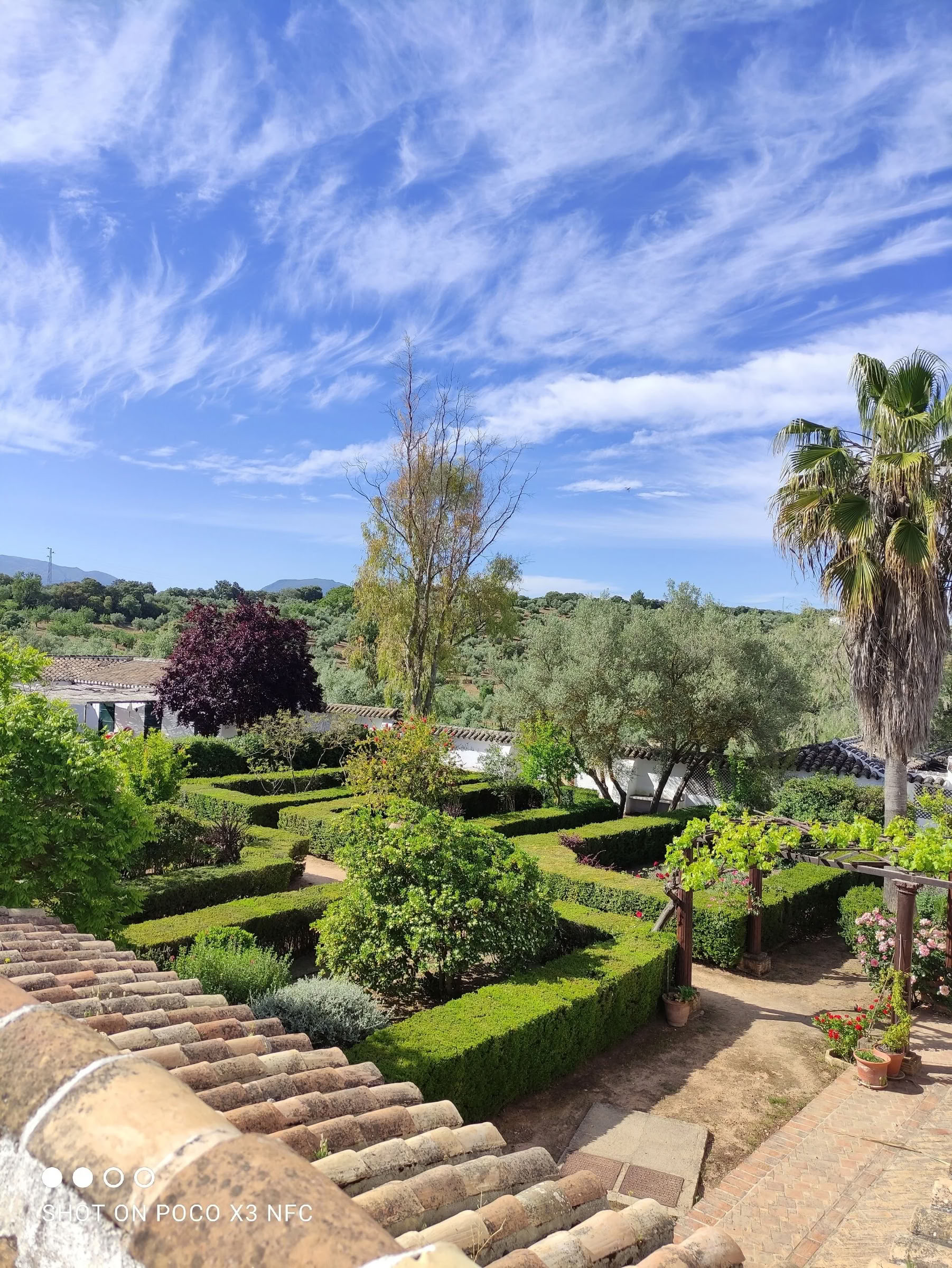 Soulful Spanish Yoga retreat — Cortijo El Cachete
