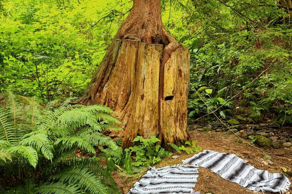 Yoga & Resilience Inspired Movement and Mindfulness Camps for Kids