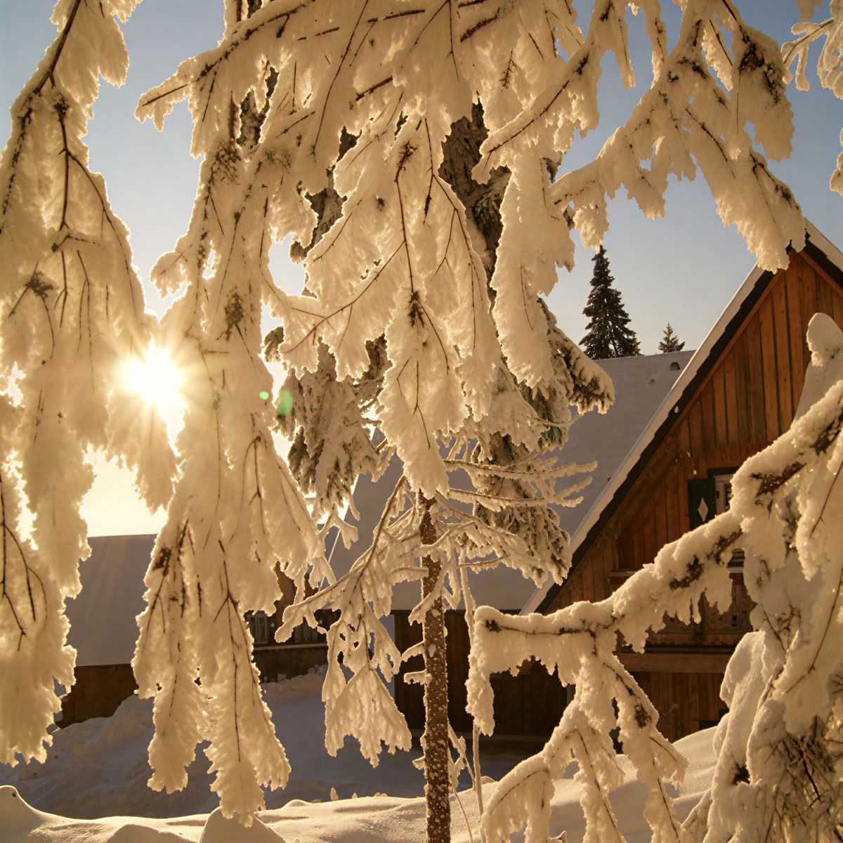Couples Retreat at Reinischkogel