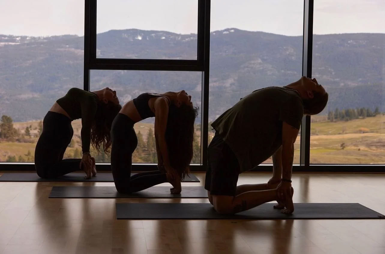 Dockside Flow: Yoga & Meditation on Okanagan Lake!