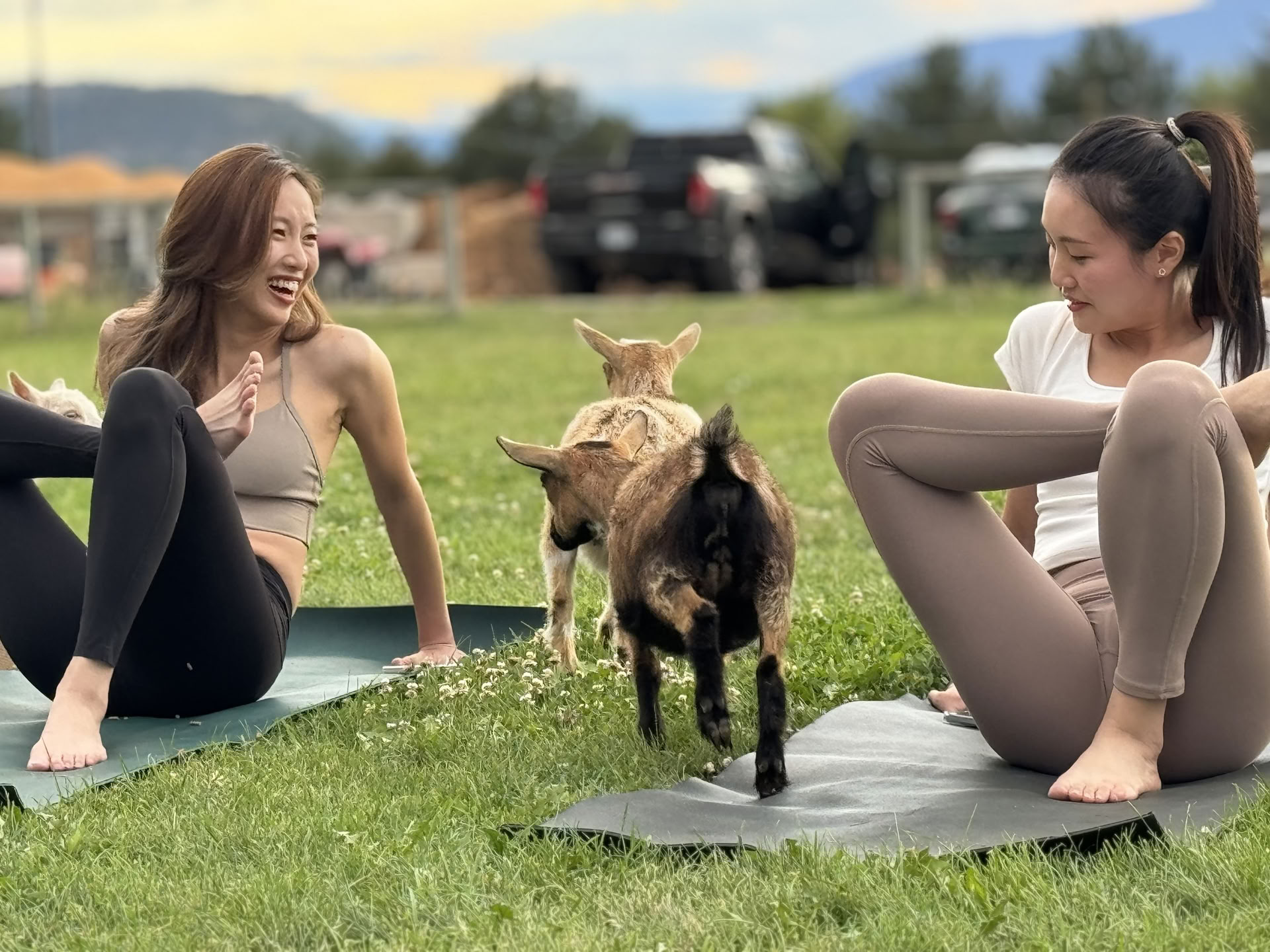 Dockside Flow: Yoga & Meditation on Okanagan Lake!