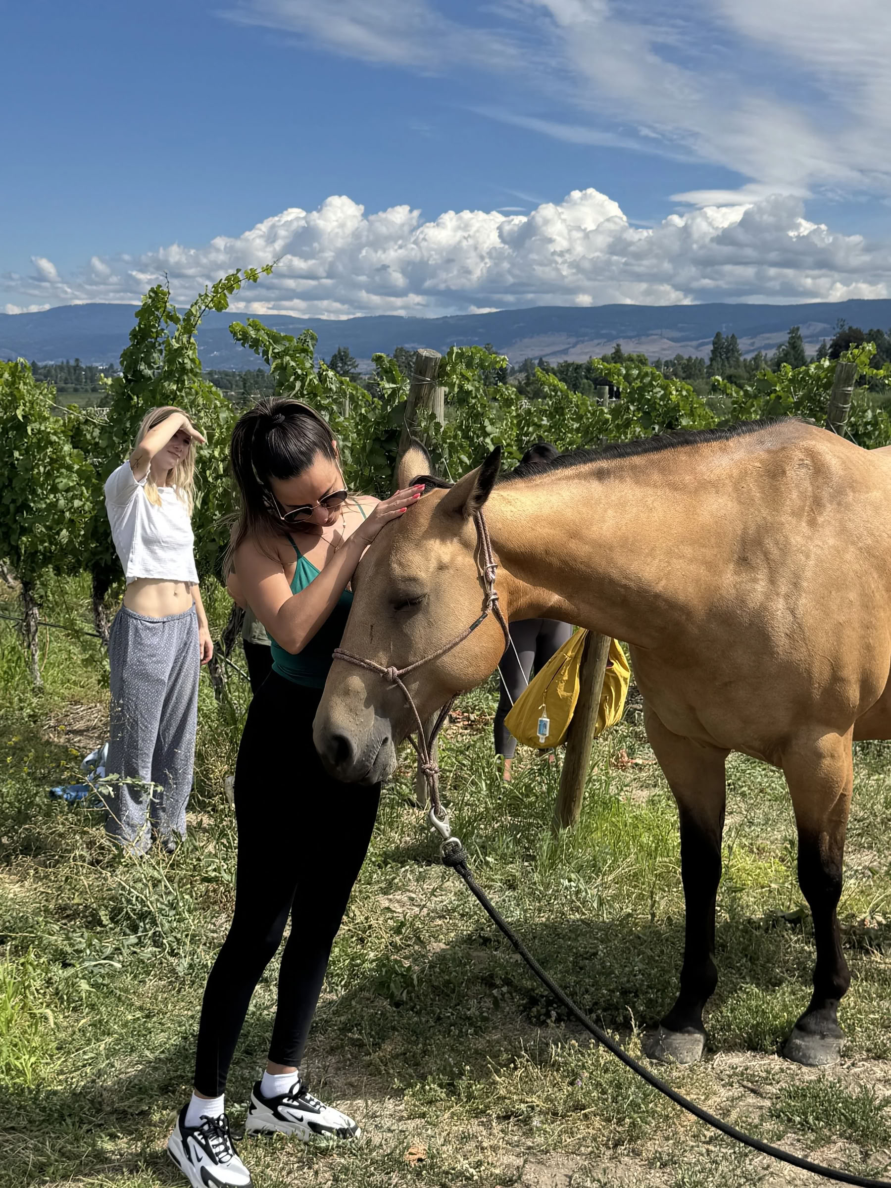 Divine Dolce Vita: Luxurious Yoga Retreat in the Heart of Tuscany