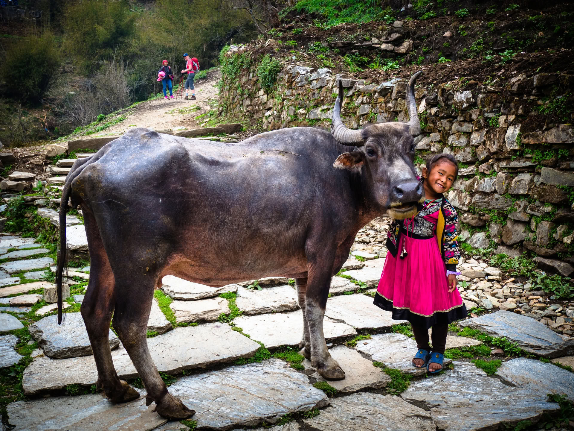 Annapurna Base Camp
