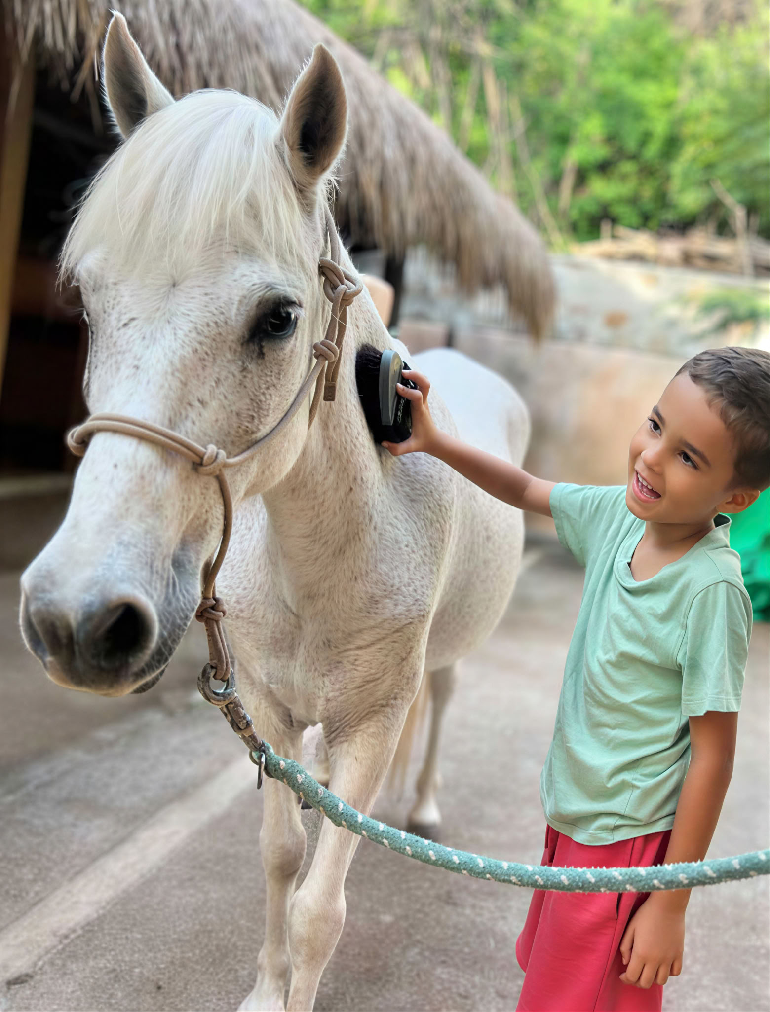 Children Horse Excursion