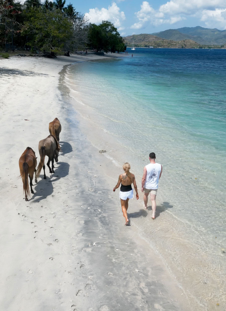 Horse Walk