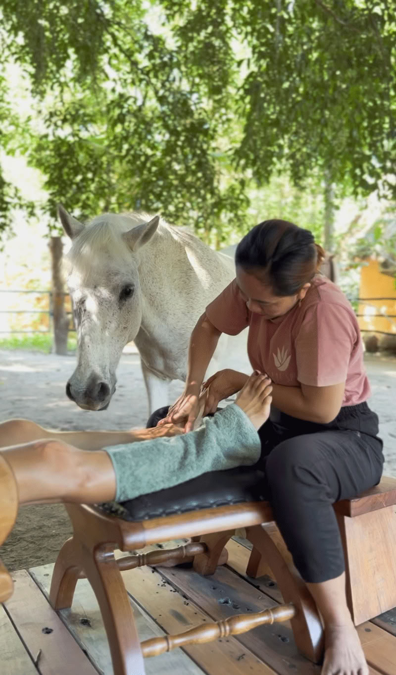 Horse Relaxation Experience