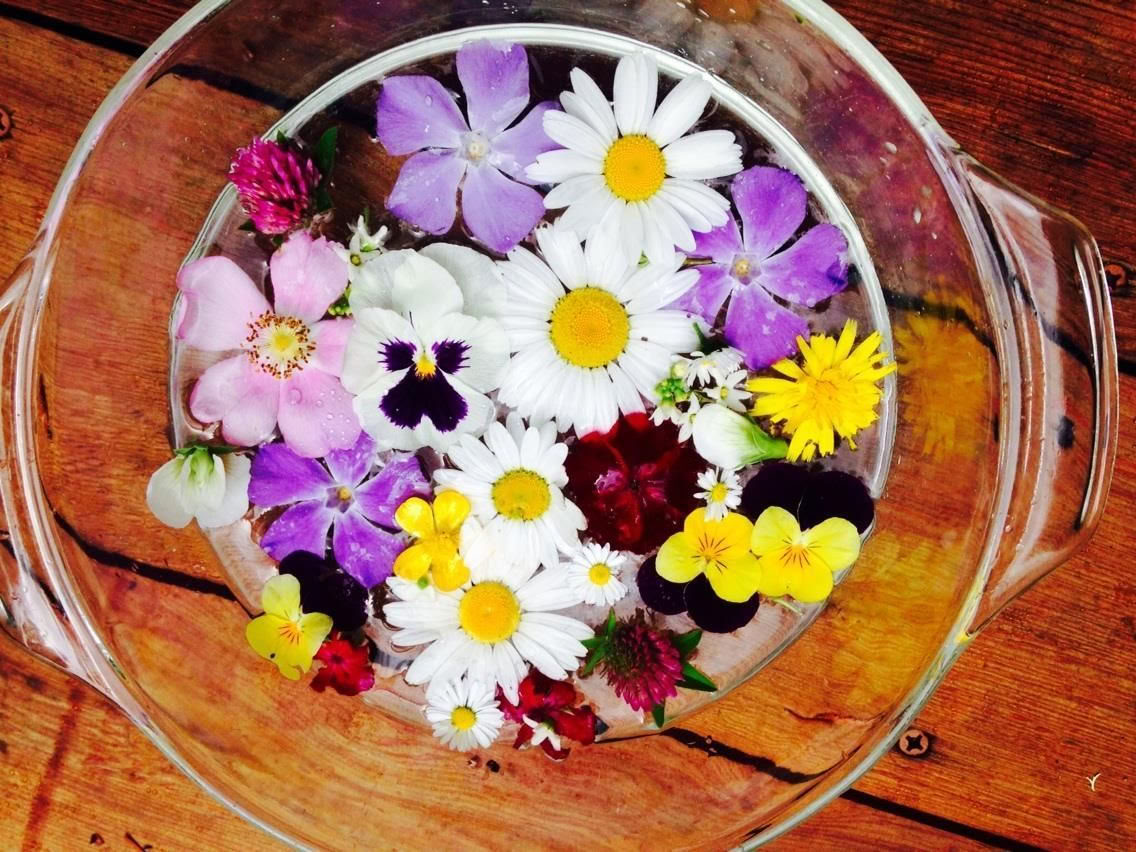 Ayurvedic Community Cleanse
