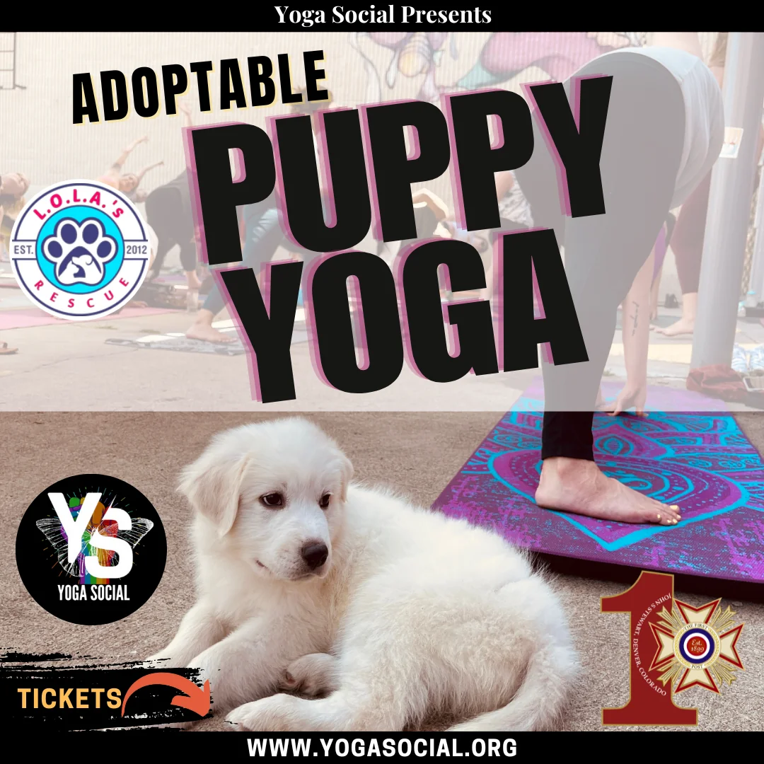 Yoga at VFW Post 1 | Denver