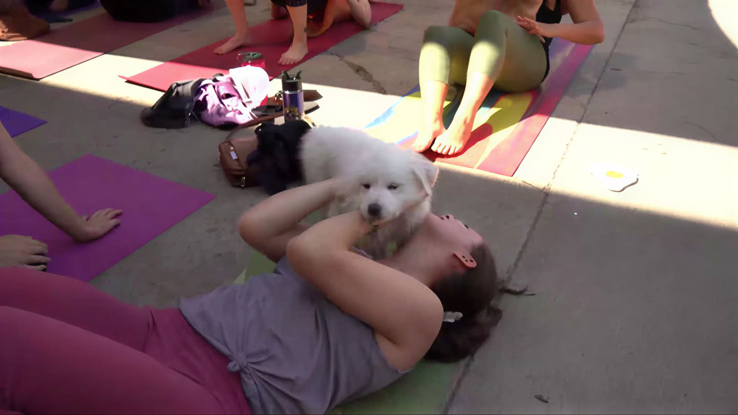 Yoga & Pilates at Bierstadt Lagerhaus | Denver