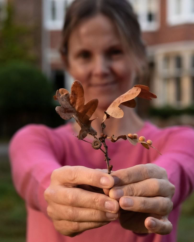 Autumn Yoga Retreat