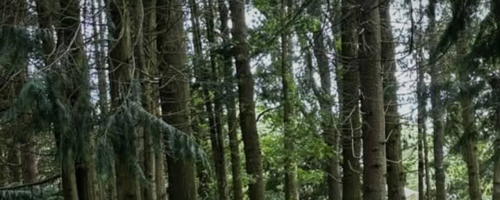 Enwild Self Care Bootcamp Wellness Retreat