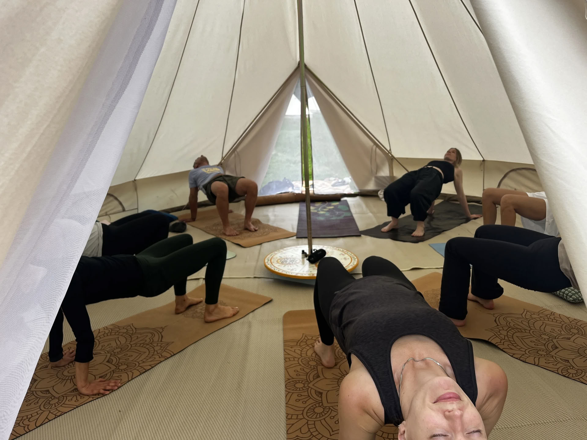 Willowbrook Glamping — enwild retreat