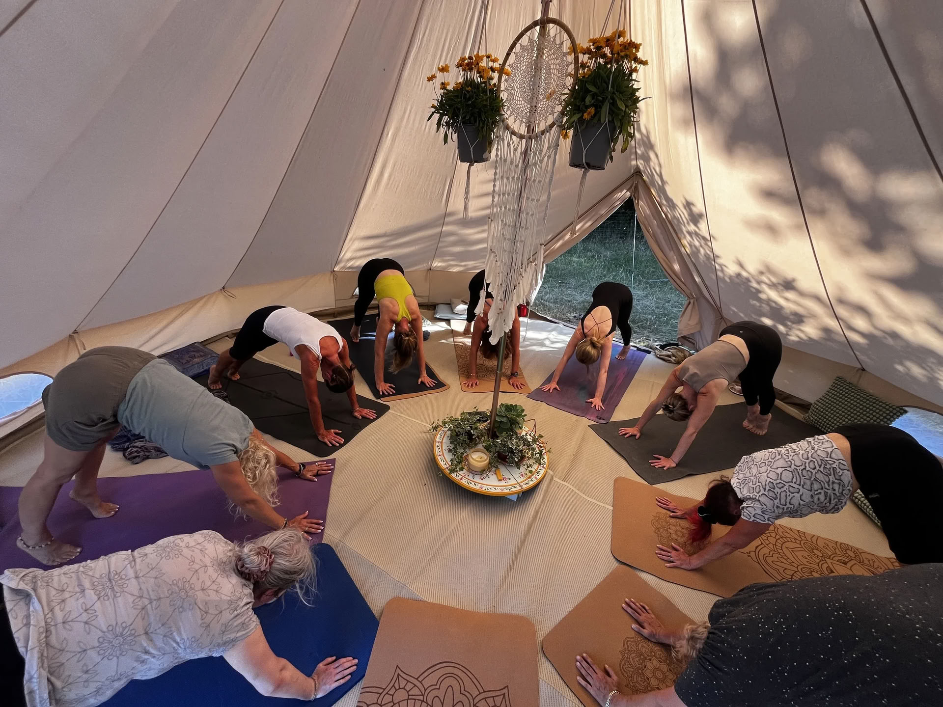 Enwild 1-Day Self Care Retreat: Rest. Revitalise. Reconnect.