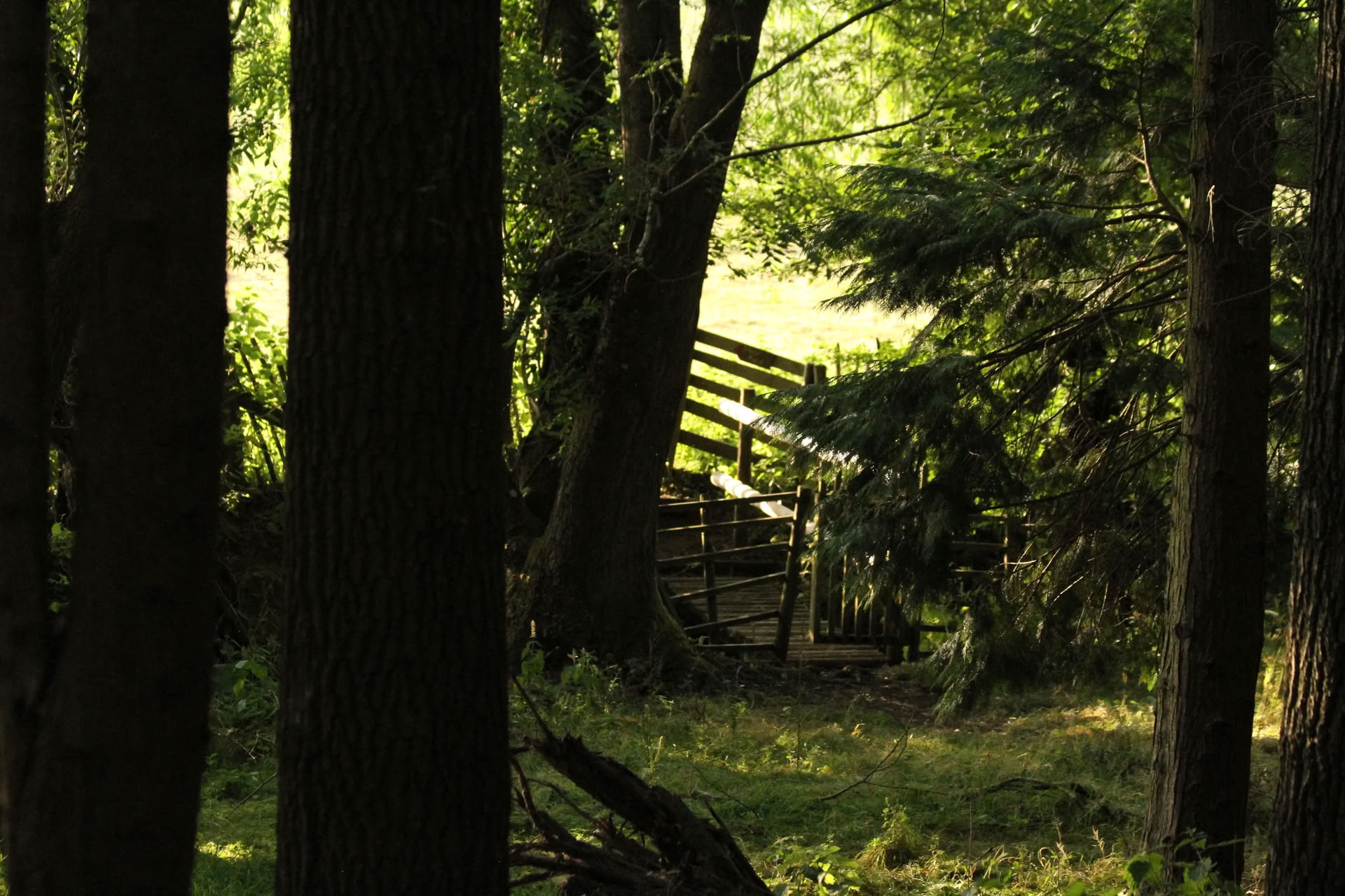 Enwild 1-Day Self Care Retreat: Rest. Revitalise. Reconnect.