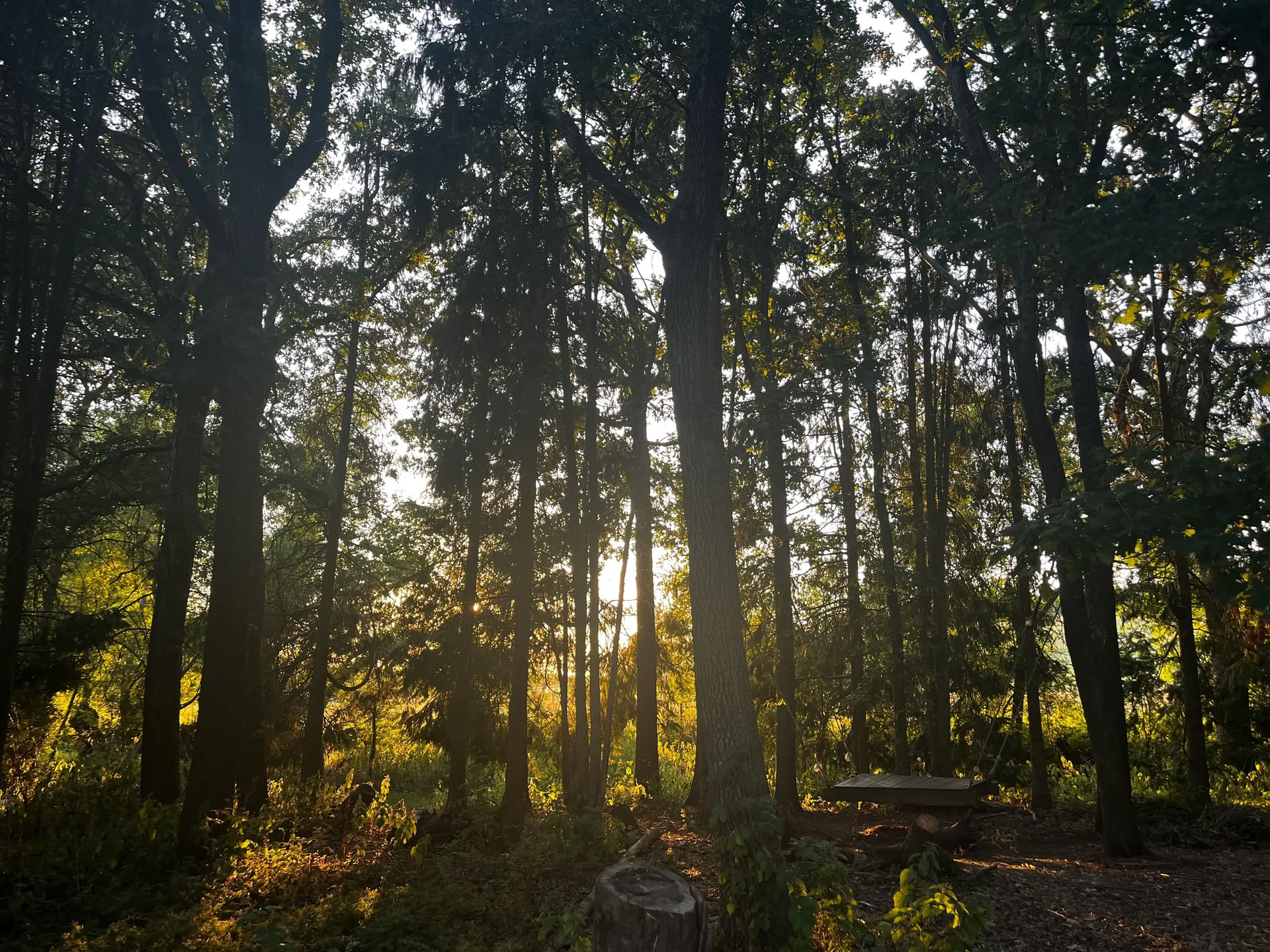 Family Nature Day Retreat