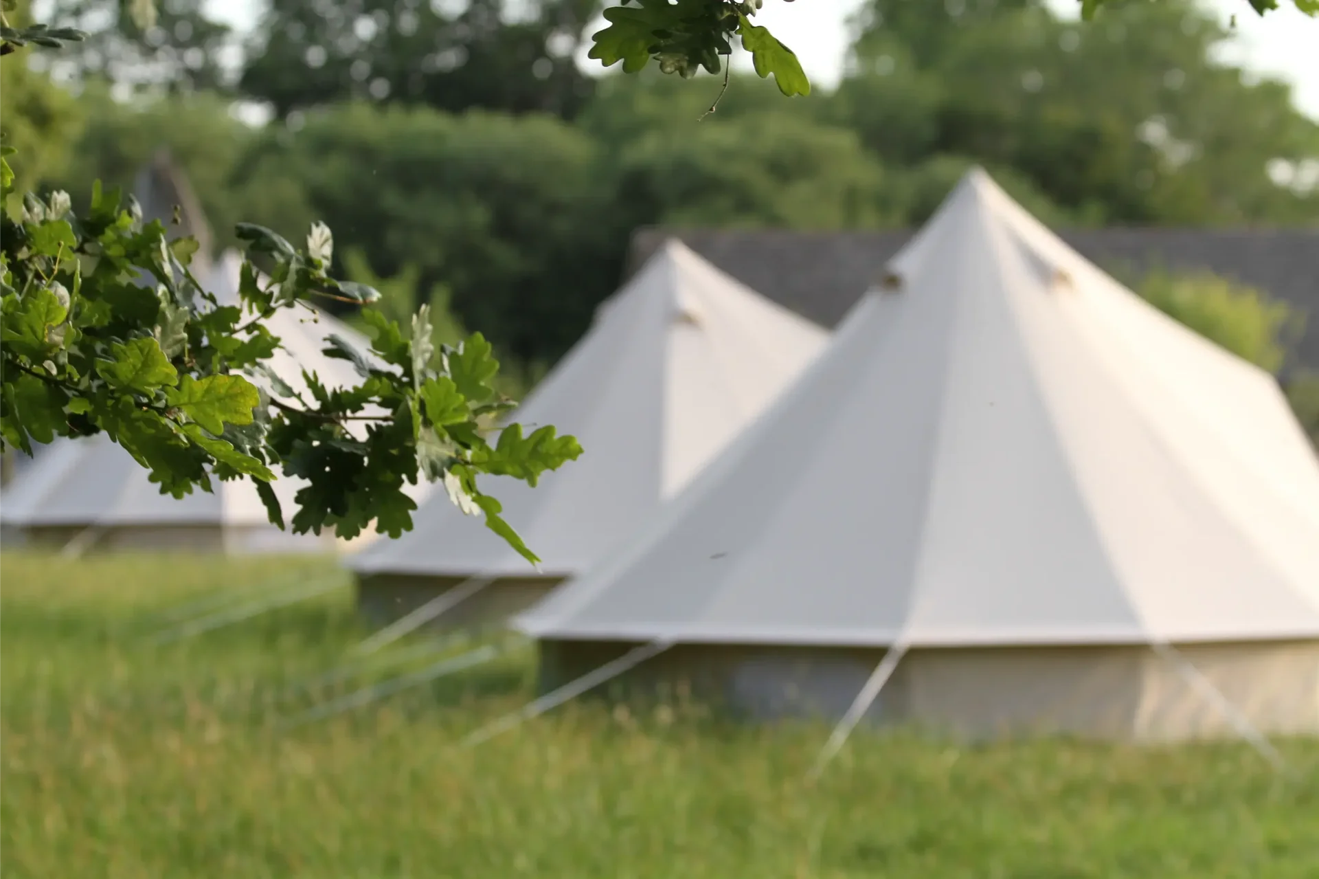 Family Nature Day Retreat