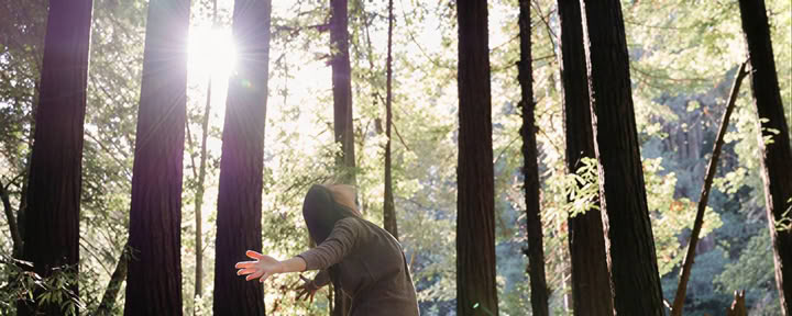 The Spacious Pause: Renewing Presence, Clarity, and Connection