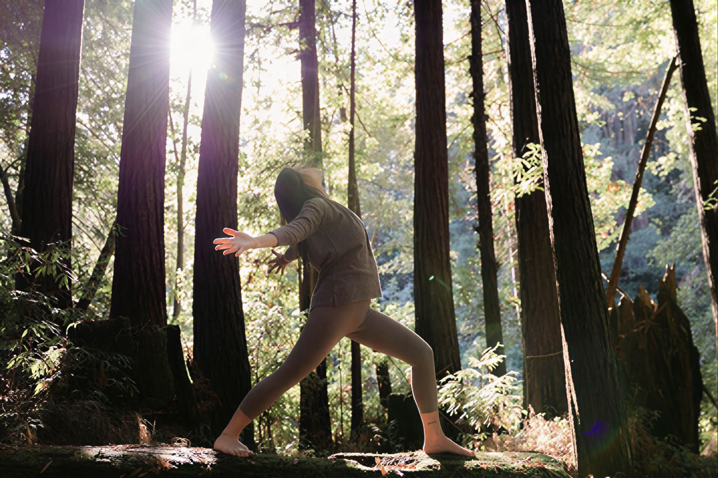 On and Off the Mat: Yoga and the Practice of Mindful Living