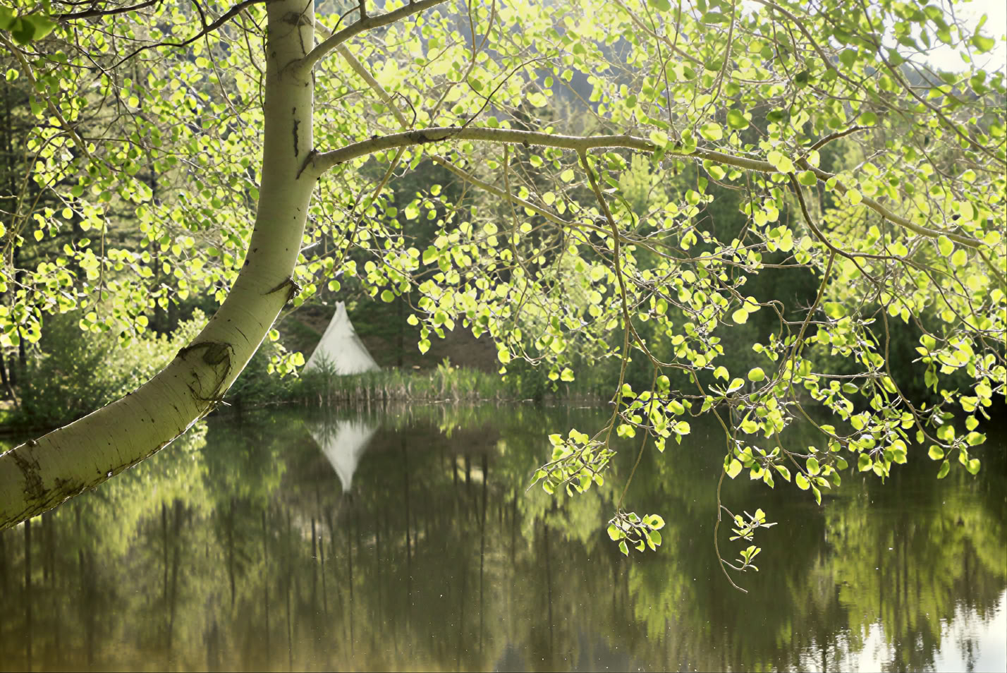 Homecoming: A Mindfulness Journey to Your Truest Self