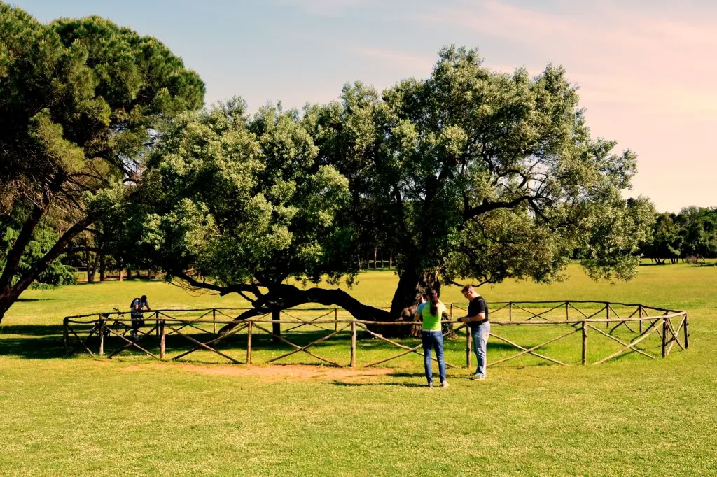 26-30 SEP PILATES & FITNESS RETREAT BRIJUNI