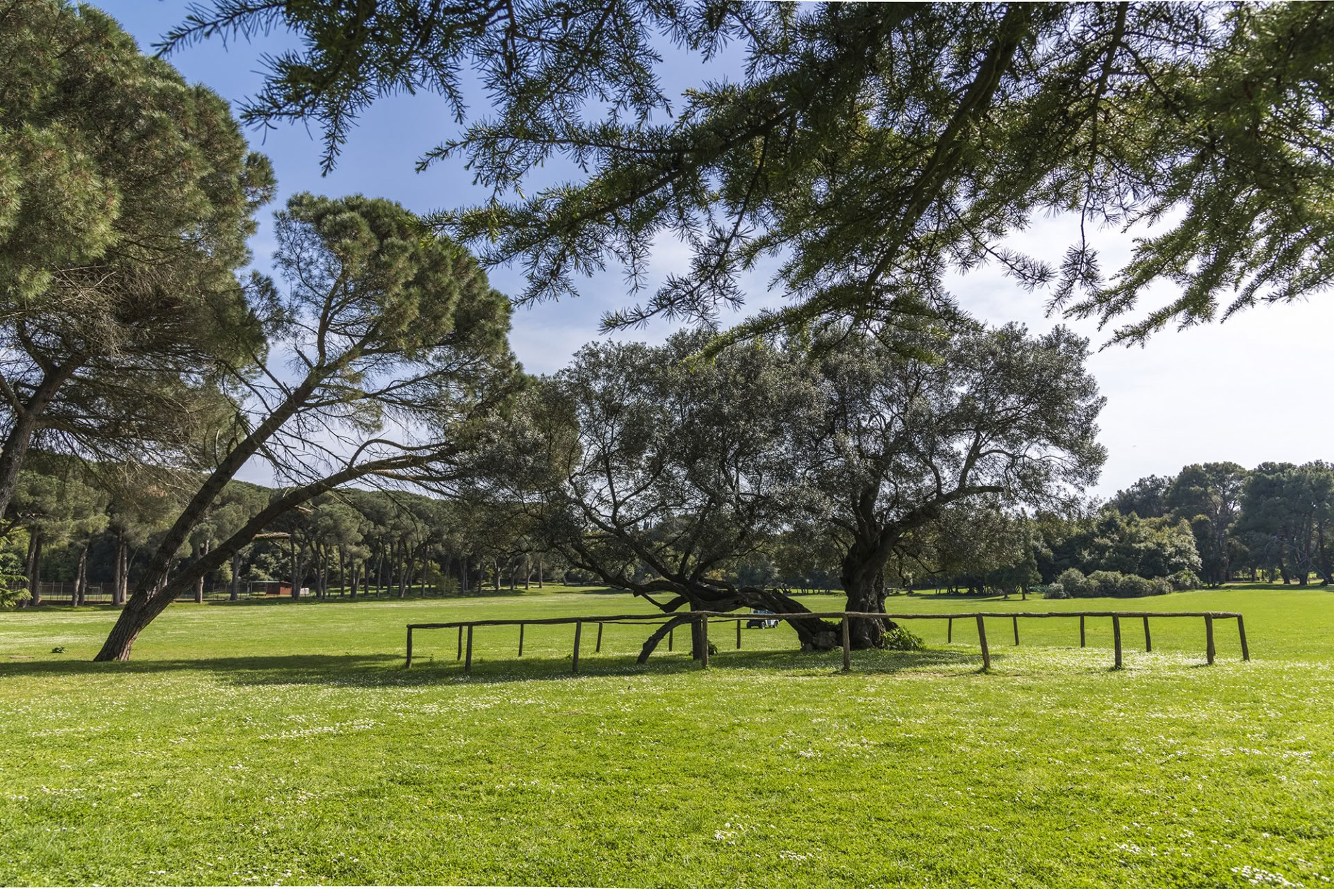PILATES & FITNESS RETREAT BRIJUNI