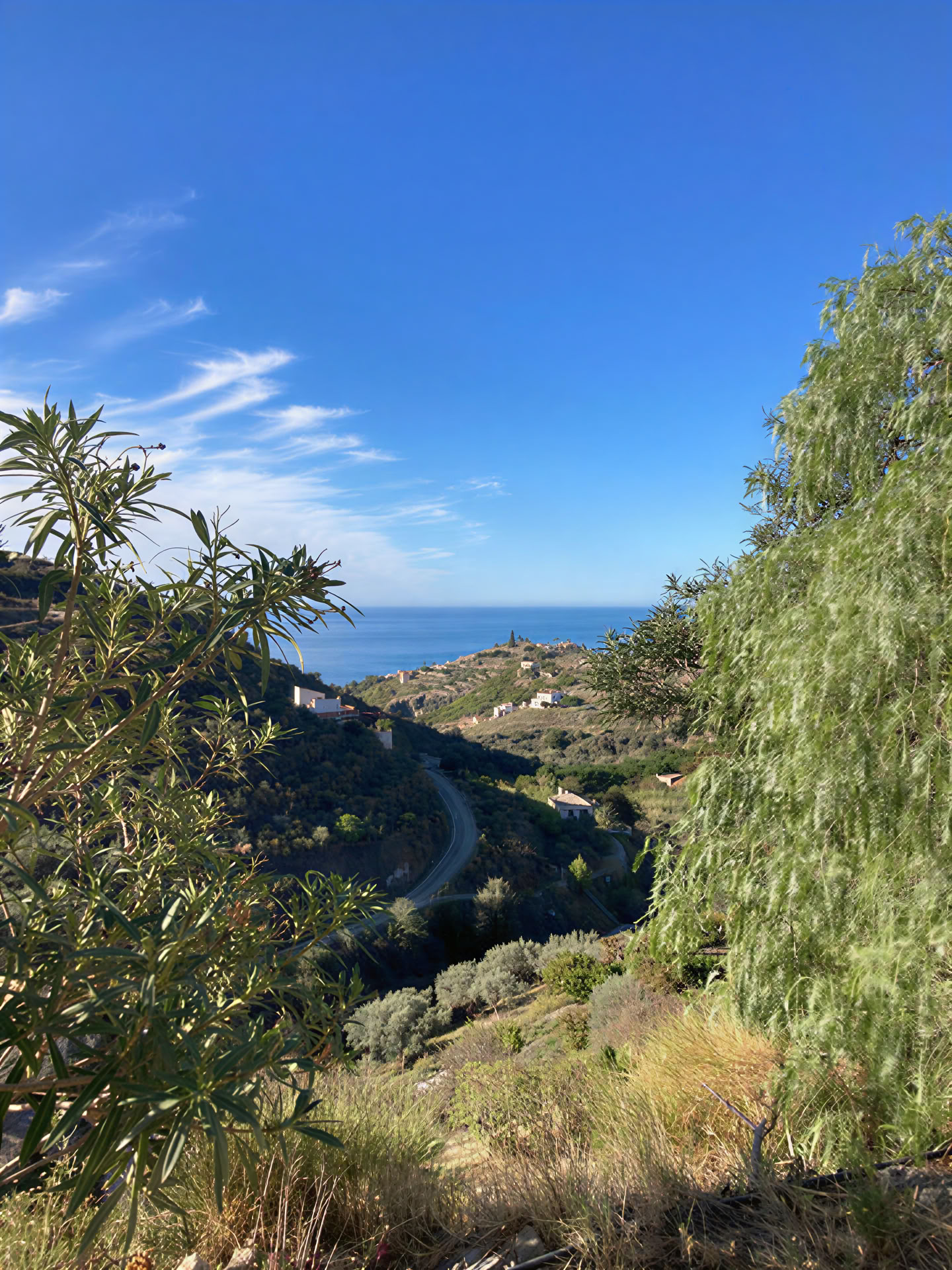Walking and Wellbeing