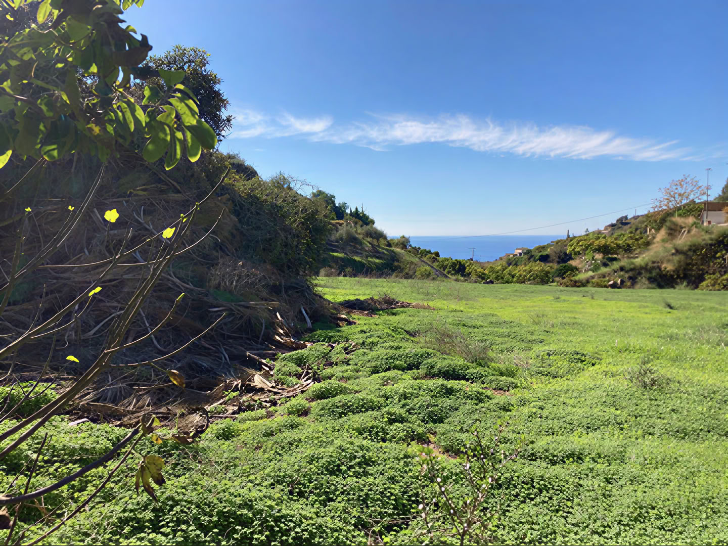 'HOME' - A Yoga Retreat