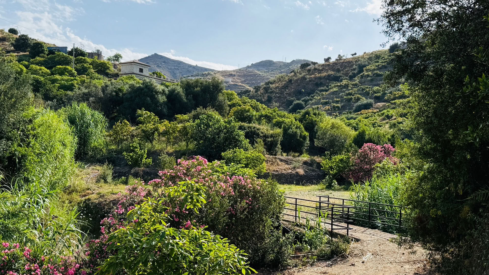 Andalucia Wellness Retreat