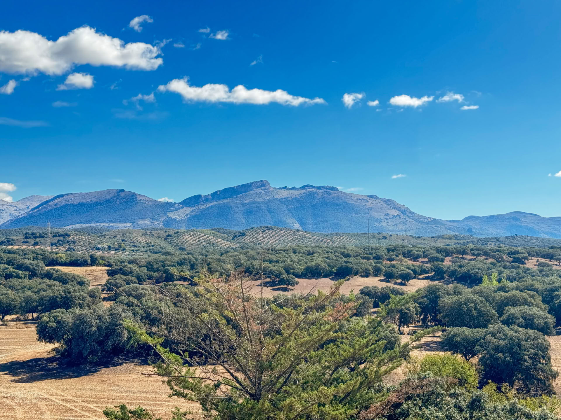 Rent Finca La Lola