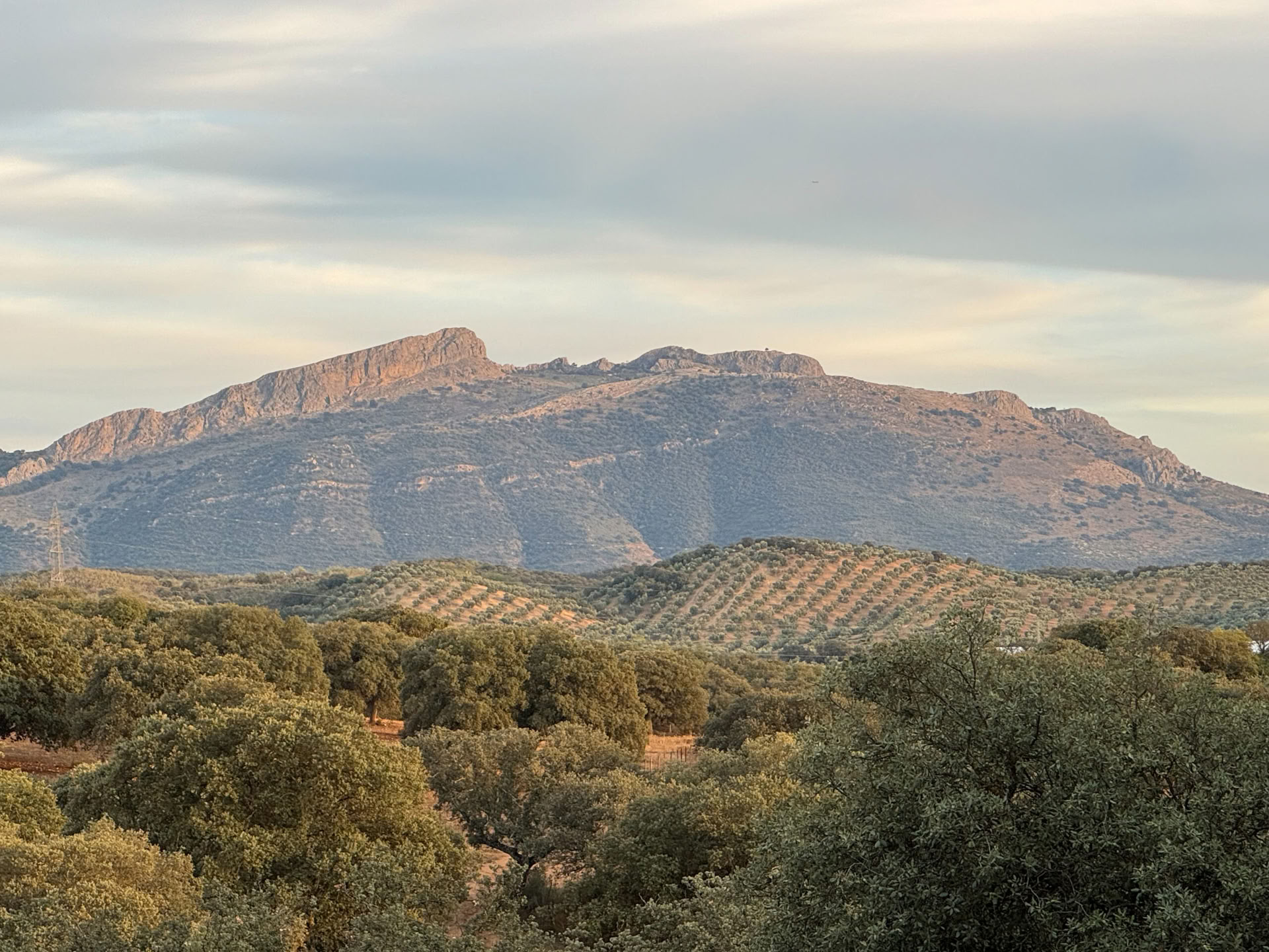 Rent Finca La Lola