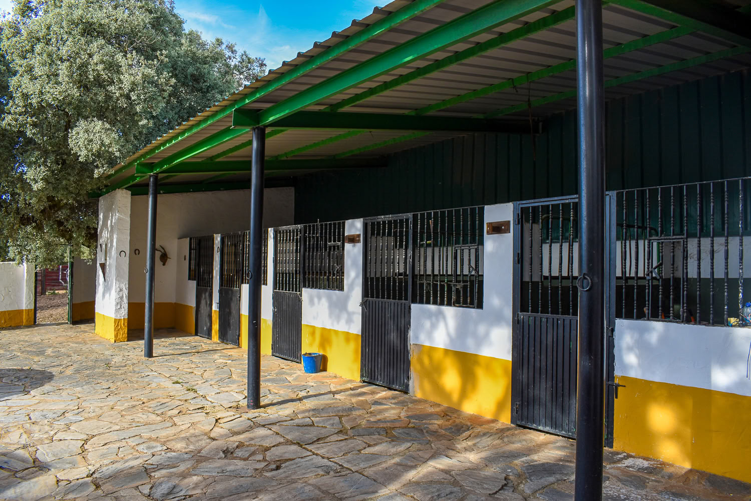 Rent Finca La Lola