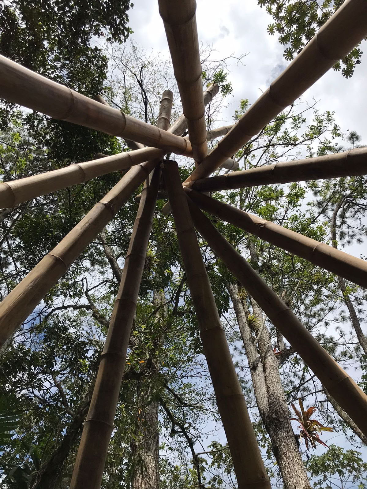 Regenerative Living Apprenticeship