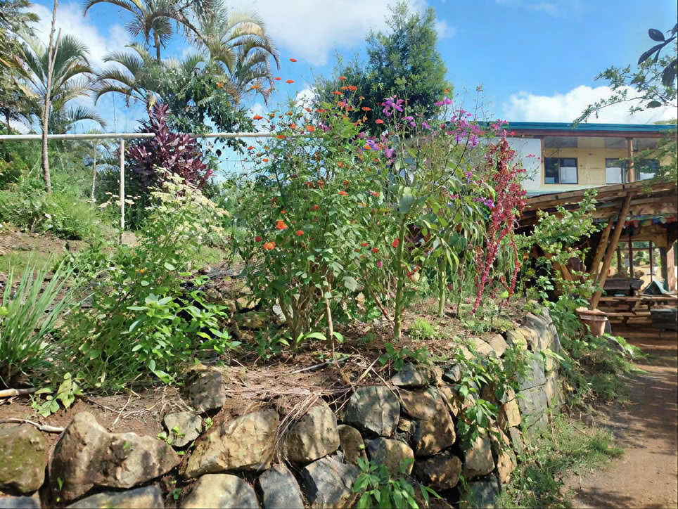 Regenerative Living Apprenticeship
