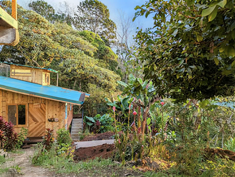 Wellness Retreats