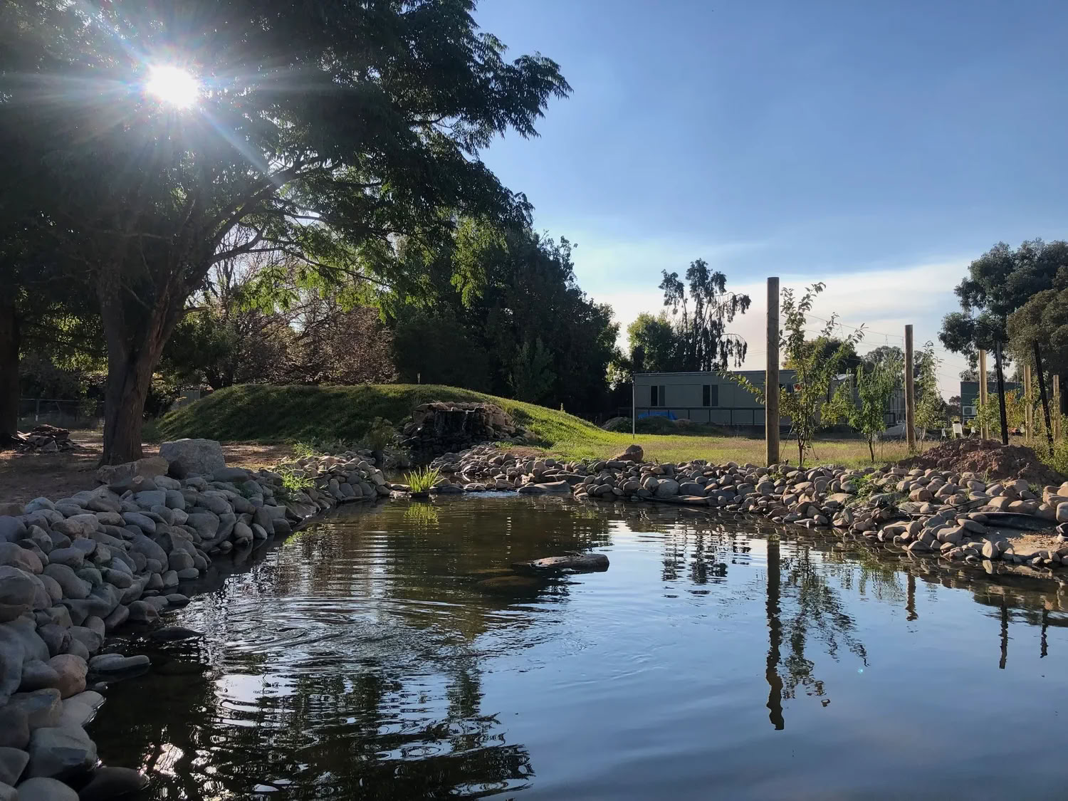 5-Day Burnout Prescription — Little Farm of Calm