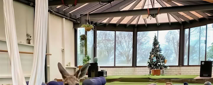 5-Day Burnout Prescription Retreat