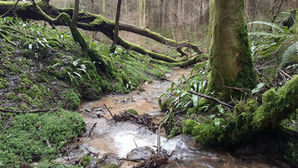 Winter Wellness Retreat - Cotswolds