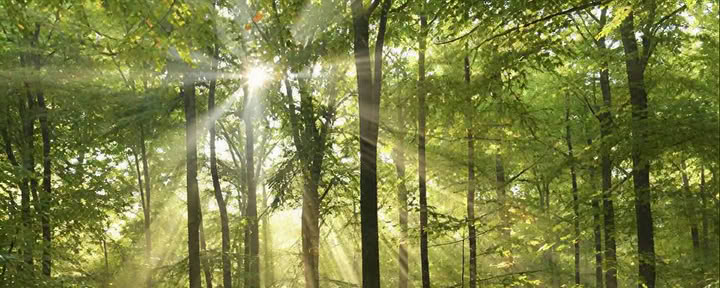 FULL MOON CELEBRATIONS & NEW MOON CEREMONIES