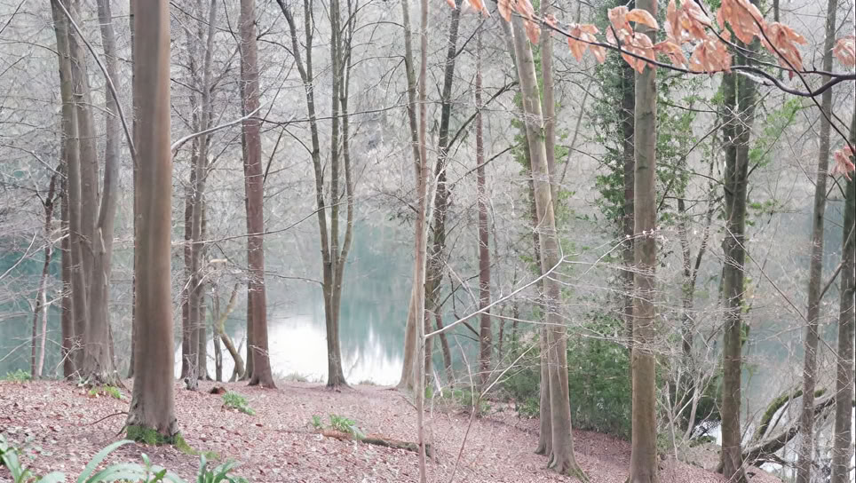 Awaken Your Creative Self - 1 day Saturday Retreat