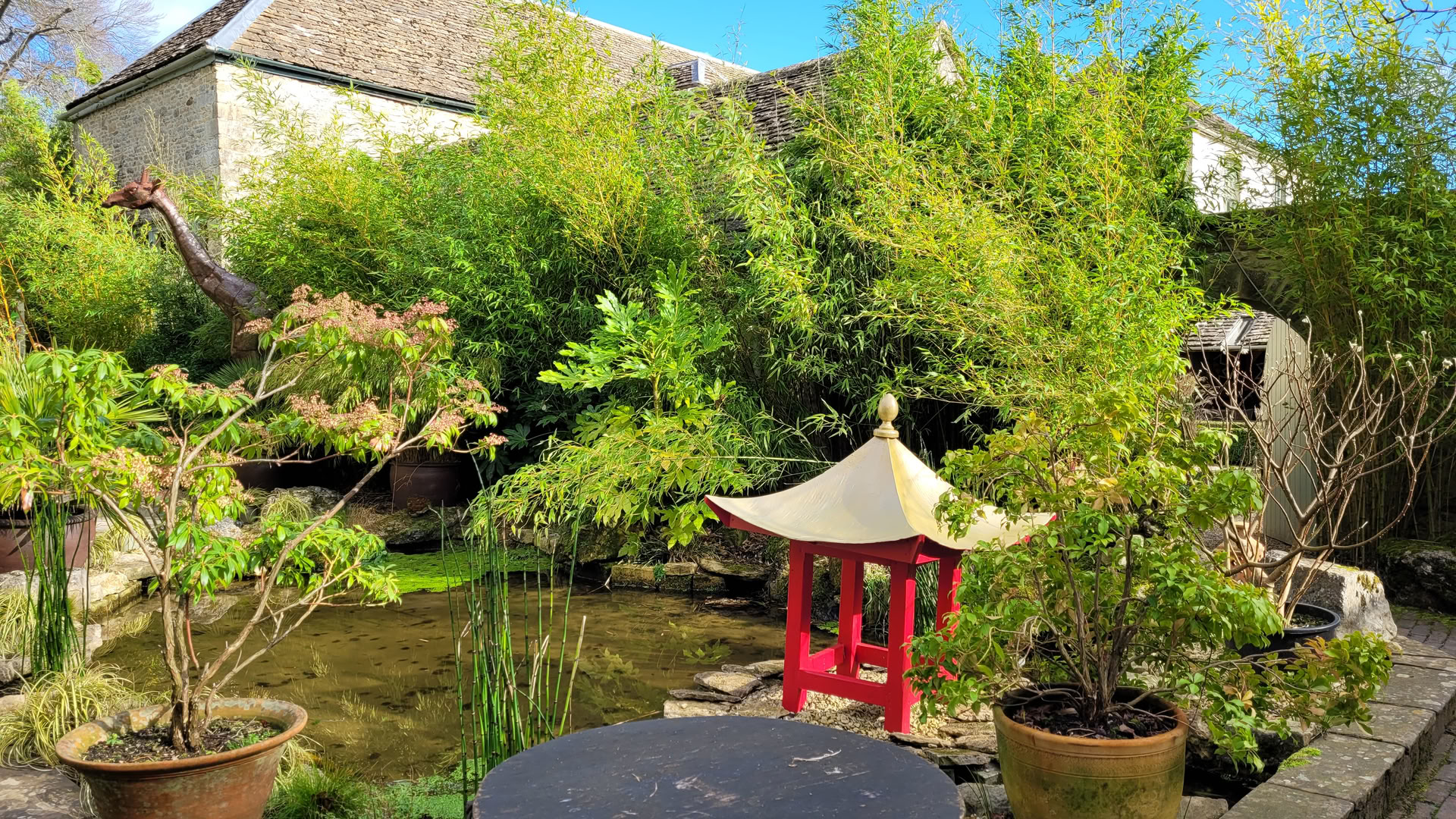 Awaken Your Creative Self - 1 day Saturday Retreat