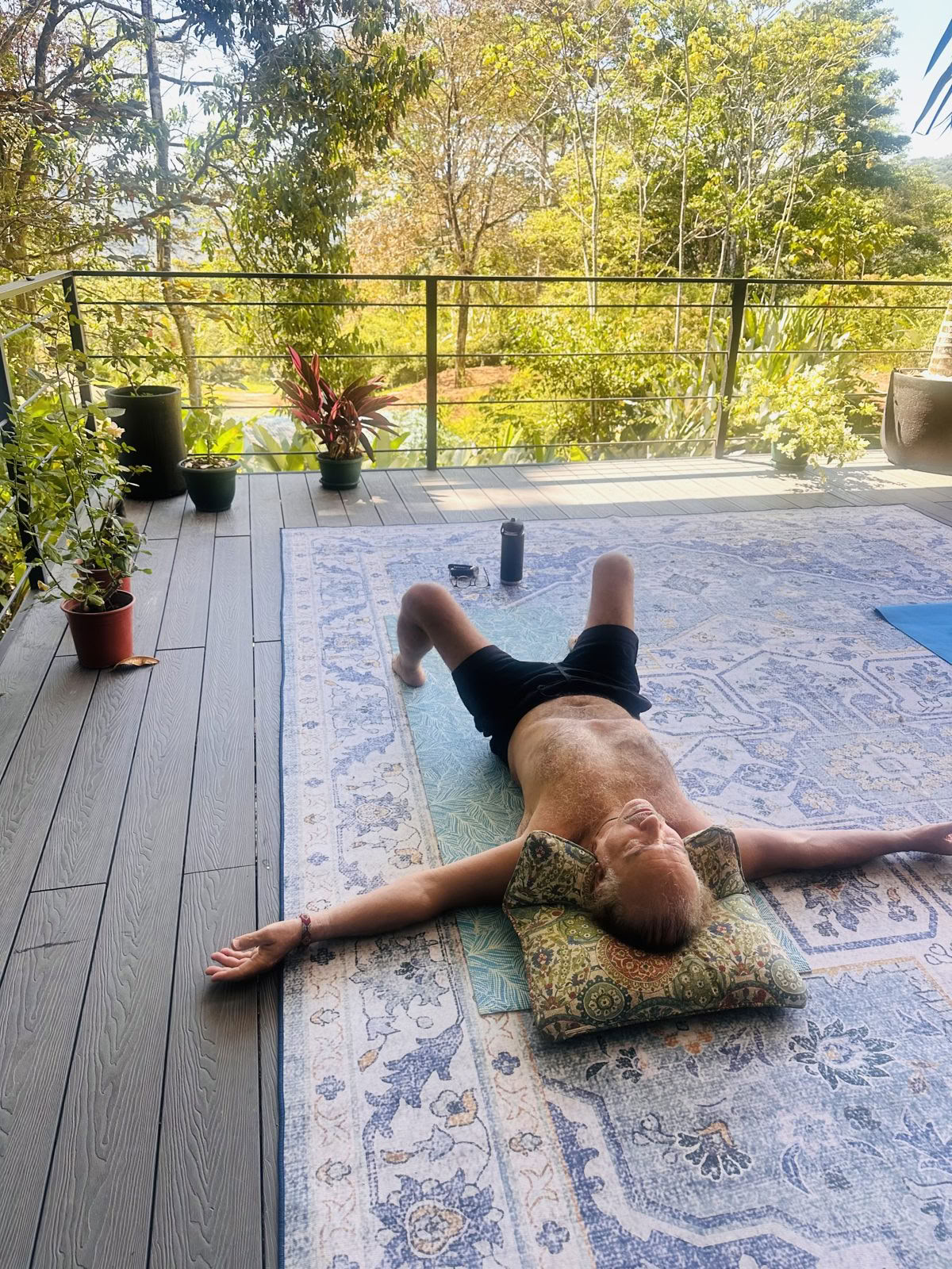 Nervous System Reset