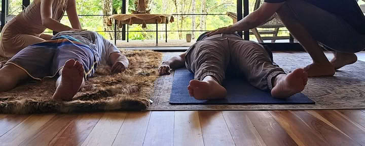 Nervous System Reset