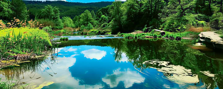 Spring Awakening Body Retreat