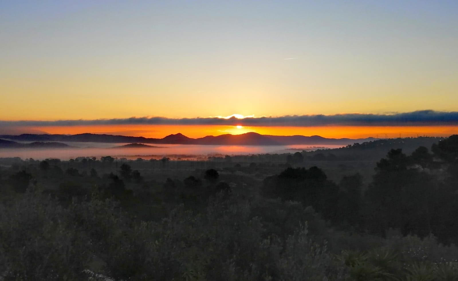 Yoga & Deep Rest Meditation Retreat