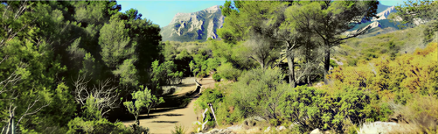 Yoga & Deep Rest Meditation Retreat
