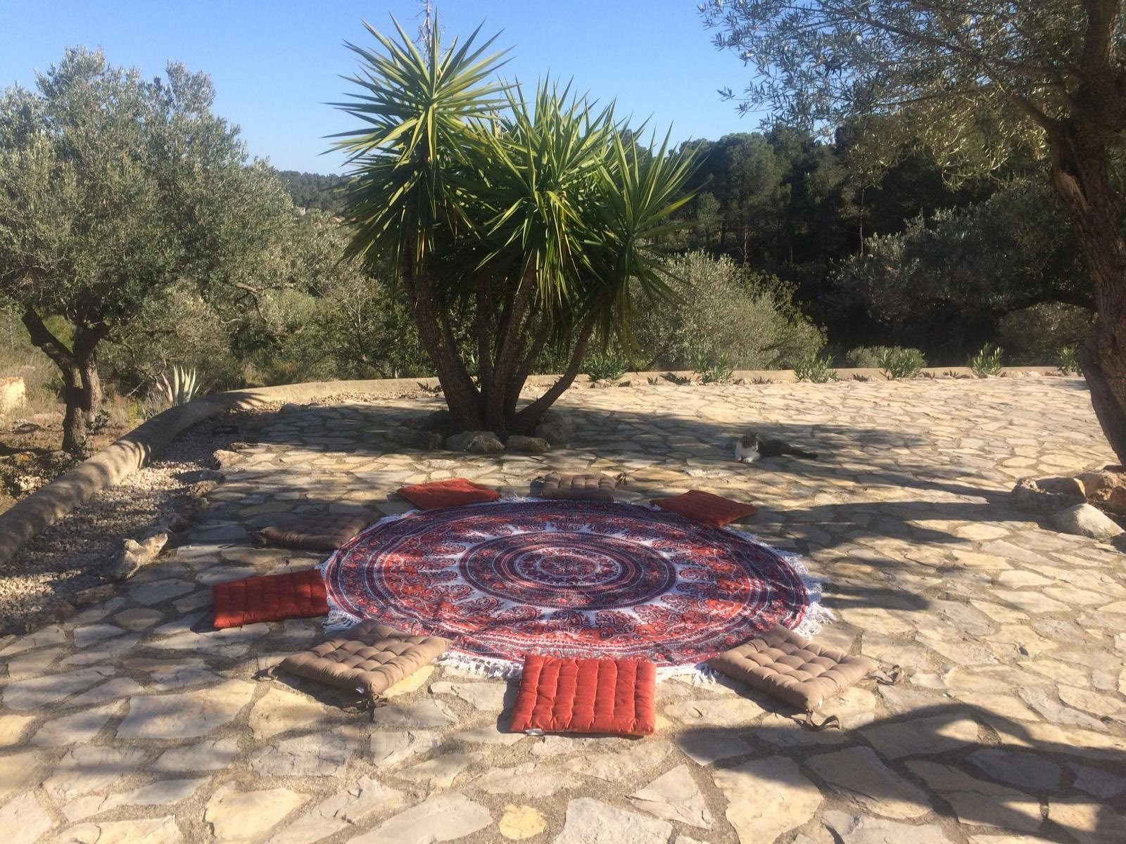 Yoga & Deep Rest Meditation Retreat