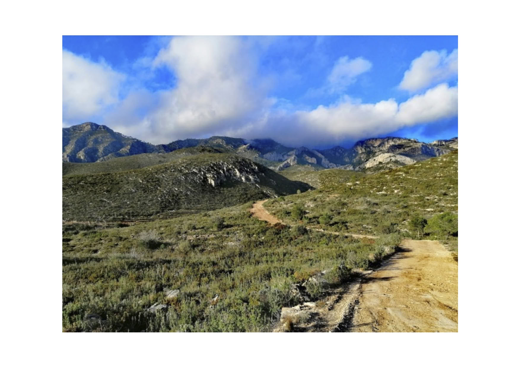 Yoga & Deep Rest Meditation Retreat