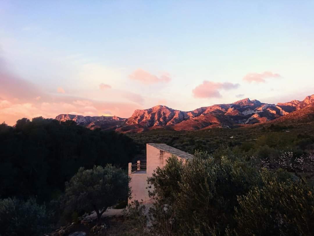 Yoga & Deep Rest Meditation Retreat